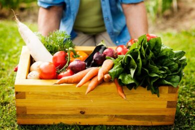 Healthy Food Guide