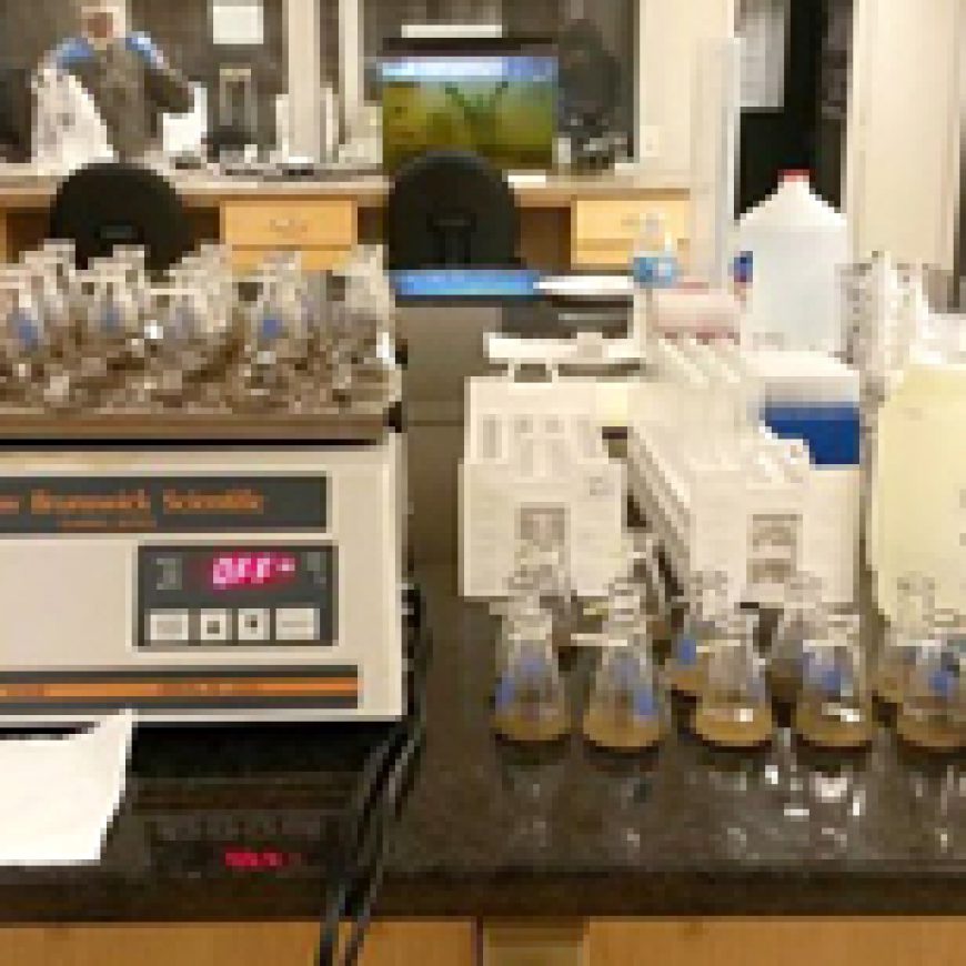 Soil Testing at Barnala