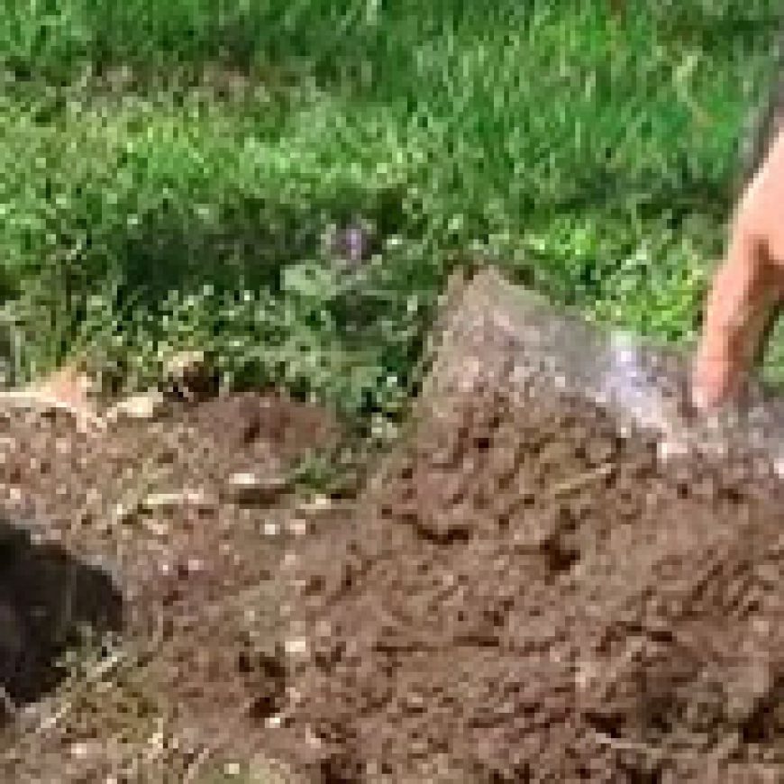 Soil Testing at Barnala